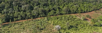 Au Kenya, cinq petits villages et une forêt au cœur de la course mondiale aux terres rares