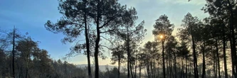 Incendies toujours non maîtrisés en France et en Espagne malgré des signes d'amélioration