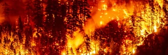 Les feux de forêt détériorent la qualité de l'air à des milliers de kilomètres, selon l'ONU