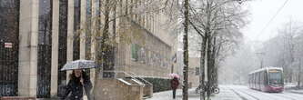 La neige arrive dans tous ces départements, même en plaine !