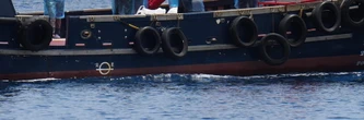 Hantavirus du MV Hondius : 27 cas contacts, une interrogation... Le point sur la situation en France