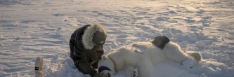 Prélèvements et biopsies: sur les traces de l'ours polaire en Arctique