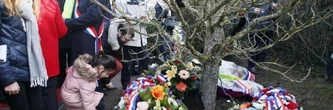 Seine-Saint-Denis : l'arbre en hommage à Ilan Halimi abattu, une enquête est ouverte, ce que l'on sait