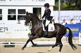 Para équitation aux Jeux paralympiques 2024 : règles, classification des handicaps... Infos et programme