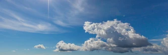 Météo : un temps printanier annoncé ce week-end, sauf dans ces départements