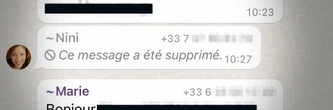 Quelqu'un a supprimé un message dans votre groupe WhatsApp ? Il y a un moyen de le récupérer en cachette