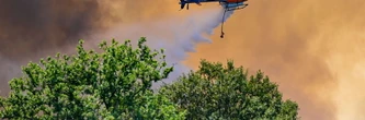 Incendie dans l'Aude : plus de 600 hectares brûlés et 1000 vacanciers impactés, ce que l'on sait