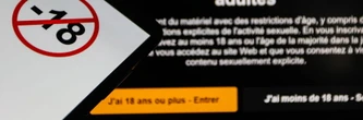 Pornhub, YouPorn et Redtube : la justice annonce la réouverture des sites contre l'avis du Gouvernement