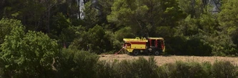 Incendies en France : l'Aude et les Bouches-du-Rhône en proie aux flammes, la situation en direct