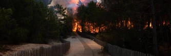 Risque d'incendie dans le sud de la France : c'est très sérieux dans tous ces départements
