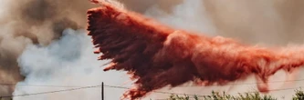 Incendies en France : un feu inédit et "très inquiétant" à Fontainebleau, des améliorations dans le Sud