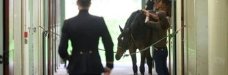 Au Cadre Noir de Saumur, 200 ans d'équitation à la française