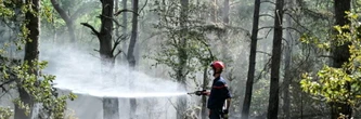 Incendie de Fontainebleau : "Pas de risque de réactivation de feu" aux abords de l'A6, selon les sapeurs-pompiers