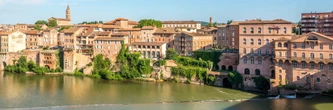 Occitanie. Dans cette ville de 50 000 habitants, un animal est traqué pour être tué, il peut faire plus de 100 kilos