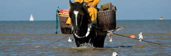 Oostduinkerke, 