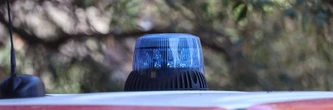 Un enfant de 2 ans meurt mordu par un chien à Tahiti : la nounou dormait, ce que l'on sait du drame