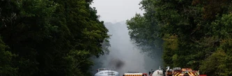 Incendie à Fontainebleau : suspects, cause... L'origine du feu se précise encore