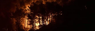 DIRECT. Incendie dans l'Aude : 13 blessés et 25 maisons brûlées, l'origine du feu reste inconnue