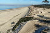 Près d'Arcachon, les sapins de Noël recyclés contre l'érosion des plages