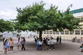 Loire-Atlantique : le département dépense 400 000 euros pour une nouvelle cour d'école dédiée aux "bienfaits sensoriels"
