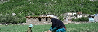 Dans les montagnes du Nouristan, la fierté des agricultrices afghanes