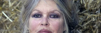Brigitte Bardot a déjà préparé sa mort, elle a dévoilé ses dernières volontés
