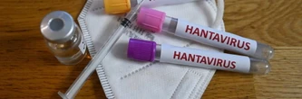 Hantavirus en France : l'hypothèse d'un "variant plus dangereux" écartée, la ministre se veut rassurante