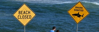 Australie: le surfeur probablement tué par un grand requin blanc, selon des experts