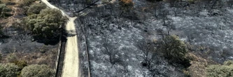 Incendies en Espagne: heures cruciales près de Madrid avant un changement de météo