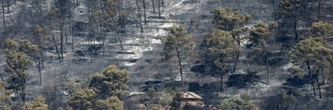 Incendies: "Un peu moins de 40.000 hectares" brûlés en France et 111 interpellations, annonce Nuñez