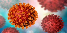 ¿Cuánto nos va a durar la inmunidad frente al coronavirus?