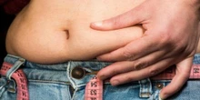 Obesidad e hígado graso: ¿cómo puede protegernos una microbiota intestinal saludable?
