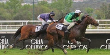 'Rodaballo' consigue una gran victoria sobre 'Great Prospector' en el Premio Andres Covarrubias