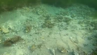Recuperan los dañados arrecifes de Bali