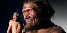 La creatividad nos permitió sobrevivir a los neandertales