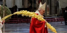 El Papa en el Domingo de Ramos: «Muchos admiran a Jesús, pero sus vidas no cambian»