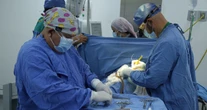 IMSS realiza Jornada de Urología Pediátrica para atender malformaciones congénitas