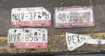 ¿Tu auto se quedó sin placas por las recientes lluvias en CdMx? La SSC puede tenerlas