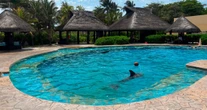 La Profepa clausura al Dolphinaris Barceló por maltrato animal y violaciones a la Ley