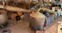SSPC desmantela narcolaboratorio y decomisa 150 kilos de metanfetamina en Durango
