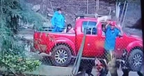 VIDEO FUERTE ¬ Familia lanza a cachorro a un refugio; otros perros lo atacan y muere