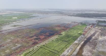 VIDEO ¬ Tiburones inmobiliarios. Contaminación. El Lago de Texcoco nunca está en paz