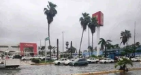 "Dalila" provoca caída de árboles, derrumbes, hundimientos y deslaves en Guerrero