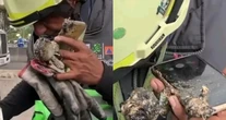 VIDEO ¬ Celular quemado permite milagro: contactar a familia de herida en Iztapalapa