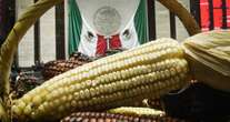 Diputados aprueban reforma que prohíbe el cultivo de maíz transgénico en México