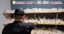 Autoridades aseguran 385 kilos y 170 litros de metanfetamina tras un cateo en Sinaloa