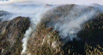 Incendio en límites de Tlaxcala y Puebla arrasa con 200 hectáreas de bosque