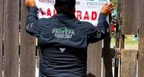 La Profepa ordena la clausura del zoológico "La Pastora" por el caso de la osa "Mina"