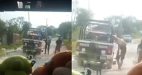 VIDEO ¬ Policías municipales atropellan a un perro y se llevan su cuerpo en Puebla