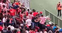 Violencia en el Estadio Akron: la FMF investiga a Chivas por falta de seguridad